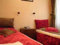 Standard single with garden view, french bed, private facilities (bath and shower), and breakfast